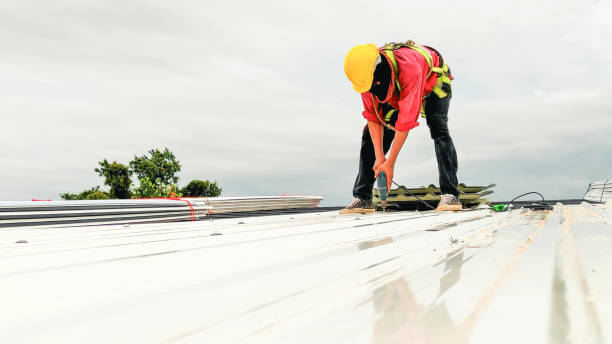 Best Roof Maintenance and Cleaning  in Pasadena, CA