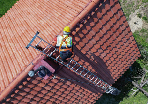 Best Roof Ventilation Installation  in Pasadena, CA